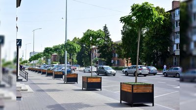 Поліція закрила провадження за фактом розтрати бюджетних грошей при закупівлі катальп у Чернігові