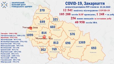 На Закарпатті підтвердили понад 250 нових випадків COVID-19 за добу На Закарпатті підтвердили понад 250 нових випадків COVID-19 за добу