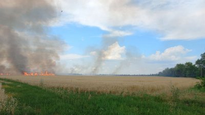 На Харківщині від обстрілу РФ спалахнуло пшеничне поле На Харківщині від обстрілу РФ спалахнуло пшеничне поле