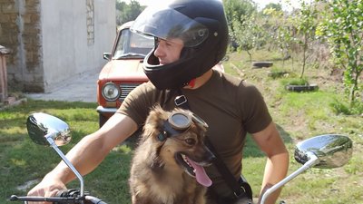 Байкер Шарик з Новгородки з господарем на мотоциклі подорожують Україною Байкер Шарик з Новгородки з господарем на мотоциклі подорожують Україною