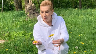 "Ліки під ногами": рецепт кульбабового меду від тернополянки Ольги Навроцької "Ліки під ногами": рецепт кульбабового меду від тернополянки Ольги Навроцької