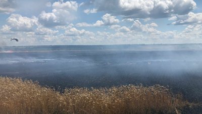 Внаслідок війни на Харківщині горіли 11 полів з пшеницею та ячменем — ДСНС