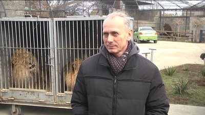дресирувальник, власник левів Олексій Пінко дресирувальник, власник левів Олексій Пінко