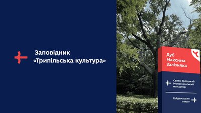 Бренд Черкаської області: про суть, розробників і користь Бренд Черкаської області: про суть, розробників і користь
