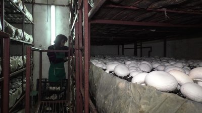 Теплопостачання коштом базару і як вижити курортному Трускавцю СУСПІЛЬНЕ | МІСЦЕВІ Теплопостачання коштом базару і як вижити курортному Трускавцю СУСПІЛЬНЕ | МІСЦЕВІ