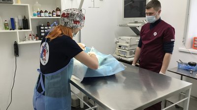 У Полтаві безплатно стерилізували понад 300 безпритульних котів та кішок У Полтаві безплатно стерилізували понад 300 безпритульних котів та кішок