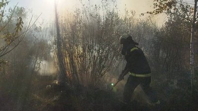 горить трава, пожежі в екосистемах, горіла суха трава, ДСНС, Волинь