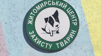 У Житомирі забезпечать кормом для тварин тих, хто підгодовує бездомних котів та собак У Житомирі забезпечать кормом для тварин тих, хто підгодовує бездомних котів та собак