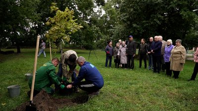 У дворі біля школи посадили клен та сакуру в пам'ять про подружжя Ткаченків, яке загинуло у Чернігові під обстрілом