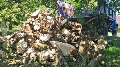 Малозабезпечені та родини військових у Луцьку почали отримувати безплатні дрова: як Малозабезпечені та родини військових у Луцьку почали отримувати безплатні дрова: як