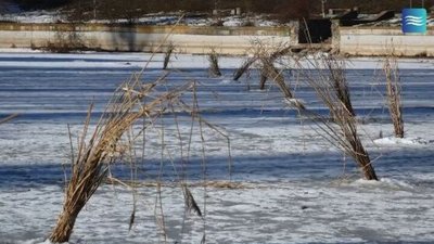 У Києві на Голубому озері на Виноградарі комунальники рятують рибу від задухи