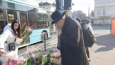 квіти, тюльпани хмельницький квіти, тюльпани хмельницький