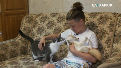 Пітони, равлики та лис: у Харкові подружжя ветеринарів доглядає сотню домашніх тварин Пітони, равлики та лис: у Харкові подружжя ветеринарів доглядає сотню домашніх тварин