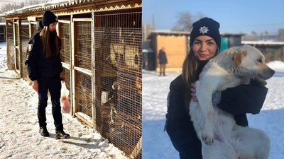 Поліцейські влаштували фотосесію з безпритульними тваринами Поліцейські влаштували фотосесію з безпритульними тваринами