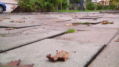 Небезпека для пішоходів: коли відремонтують розхитану тротуарну плитку у центрі Житомира Небезпека для пішоходів: коли відремонтують розхитану тротуарну плитку у центрі Житомира
