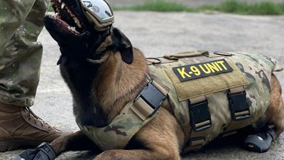 Бронежилети та навушники: дніпровські кінологи отримали амуніцію для службових собак