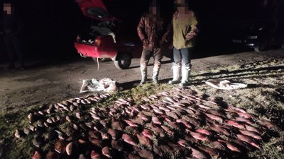 На Полтавщині знайшли незаконний улов риби: збитки сягають майже 1,5 мільйона гривень На Полтавщині знайшли незаконний улов риби: збитки сягають майже 1,5 мільйона гривень