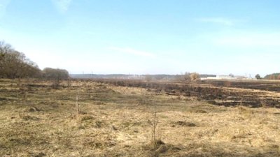 На Житомирщині прокуратура через суд повернула державі землю з археологічною пам’яткою