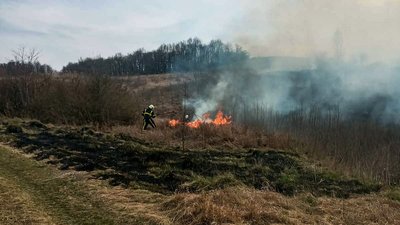 На Черкащині за два дні сталися 16 пожеж сухої трави