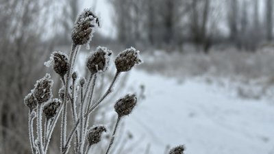 Взимку у Донецькій області