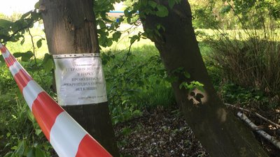 Львівські парки почали обробляти від кліщів