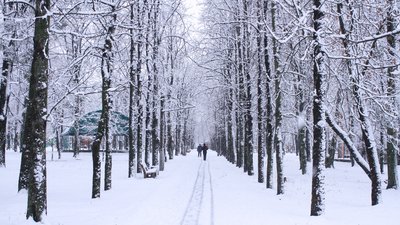 Засніжена доріжка
