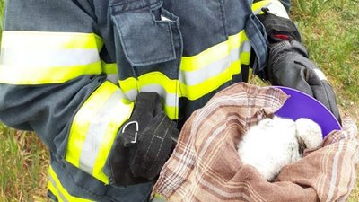 На Херсонщині співробітники ДСНС врятували лелеченя