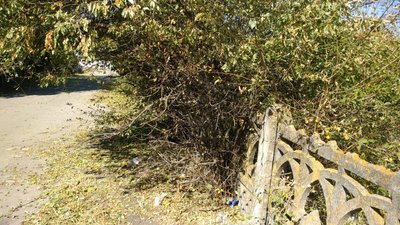 У селі Костирка на Херсонщині селяни втратили врожай городини через обробку полів з літака У селі Костирка на Херсонщині селяни втратили врожай городини через обробку полів з літака