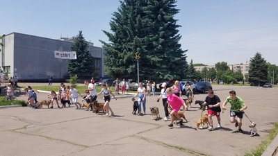 Благодійний забіг із собаками в Рівному. Як це проходить