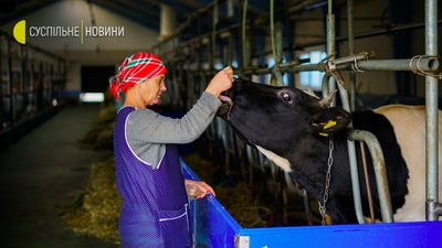 Межигір'я сьогодні. Фоторепортаж Межигір'я сьогодні. Фоторепортаж