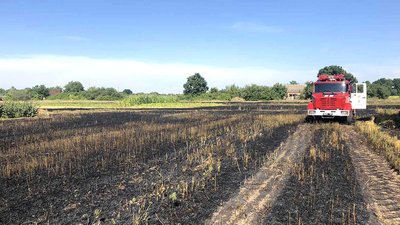Пожежа в полі в селі Мачухи, Полтавської області Пожежа в полі в селі Мачухи, Полтавської області