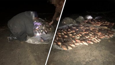 Ловили рибу в заповіднику: на Черкащині упіймали браконьєрів