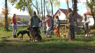 У Львові працює клуб юного кінолога У Львові працює клуб юного кінолога