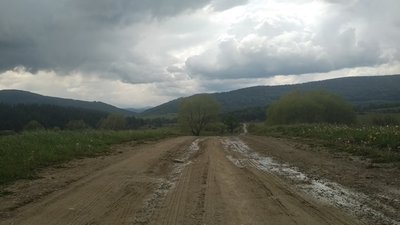 На Старосамбірщині діти посадили картоплю на дорозі, аби її відремонтували