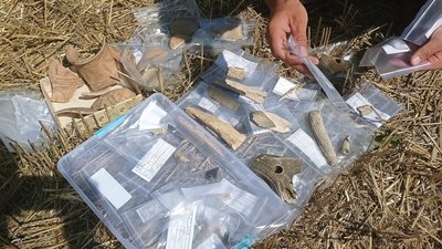 Дві тисячі артефактів за два тижні: на Вінниччині тривають розкопки на місці трипільського поселення