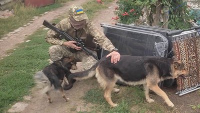 Запорізька тероборона Токмаку і Пологів Запорізька тероборона Токмаку і Пологів