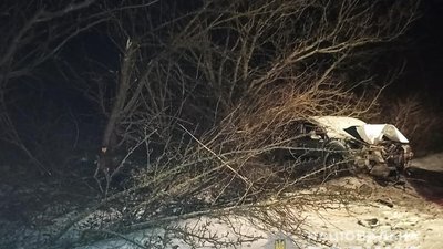 На Хмельниччині легковик в'їхав у кювет. Пасажира госпіталізували до лікарні