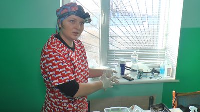Скоротити кількість тварин гуманним способом. У деокупованому Лимані вакцинують та стерилізують котів та собак Скоротити кількість тварин гуманним способом. У деокупованому Лимані вакцинують та стерилізують котів та собак