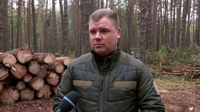 Виріс попит та черги на дрова: як на Чернігівщині люди готуються до холодів Виріс попит та черги на дрова: як на Чернігівщині люди готуються до холодів