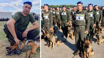 Кропивницький гвардієць-кінолог зі своєю вівчаркою готуються до параду на День Незалежності Кропивницький гвардієць-кінолог зі своєю вівчаркою готуються до параду на День Незалежності