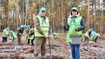 На Житомирщині за день висадили мільйон дерев На Житомирщині за день висадили мільйон дерев