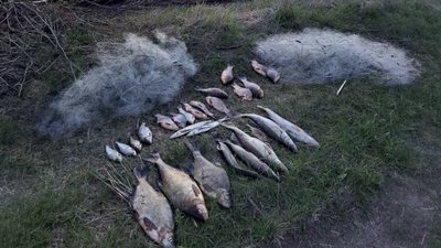 Риба та сітки, які вилучили за незаконне рибальство на Чернігівщині