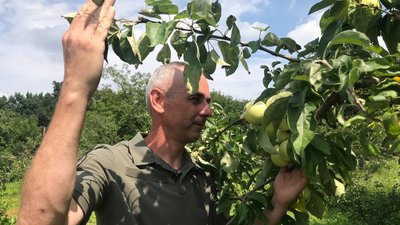 Михайло оглядає свій урожай