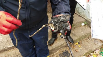 Рятувальники назвали ймовірну причину пожежі у будинку, через яку загинула багатодітна сім'я