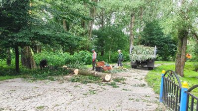Ріжуть дерева і латають дахи: у громаді на Волині прибирають наслідки буревію