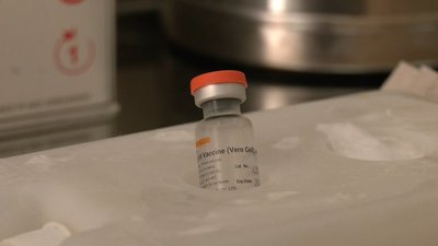 Вакцина "CoronaVac"