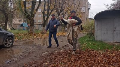 На Прикарпатті заблудився лебідь На Прикарпатті заблудився лебідь