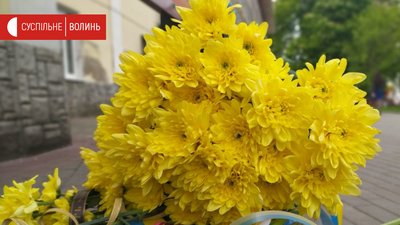 У Луцьку вшанували пам’ять бійців, які загинули під Волновахою 2014 року