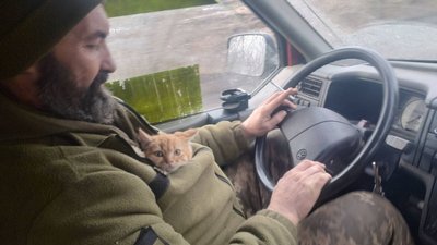 кіт Рудик