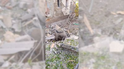 Життя під обстрілами. Спогади жительки Миколаївщини